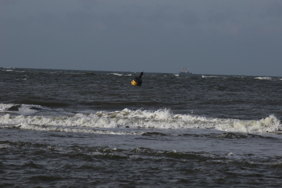 Texel im Herbst 2016