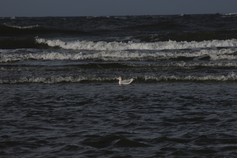Texel im Herbst 2016