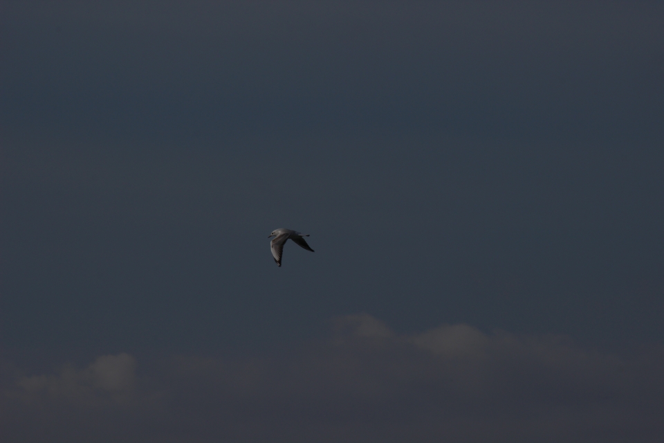 Texel im Herbst 2016