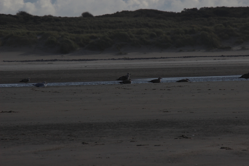 Texel im Herbst 2016