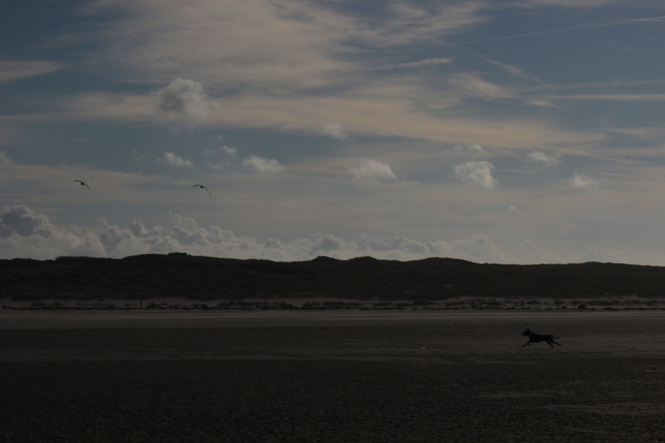 Texel im Herbst 2016