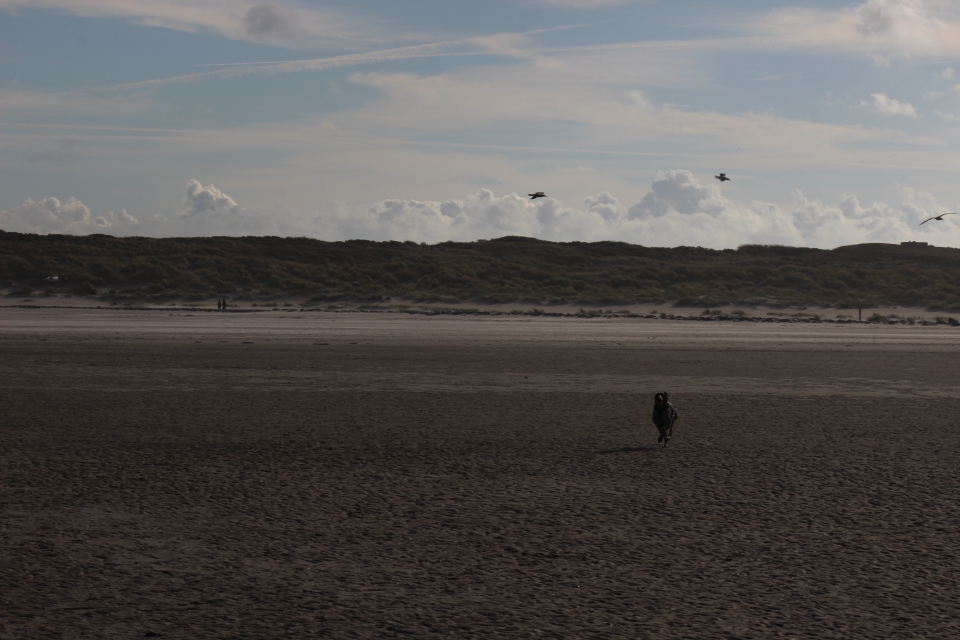 Texel im Herbst 2016