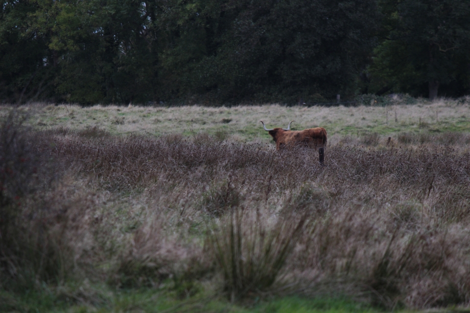 Texel im Herbst 2016