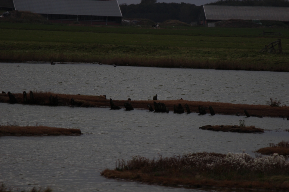Texel im Herbst 2016