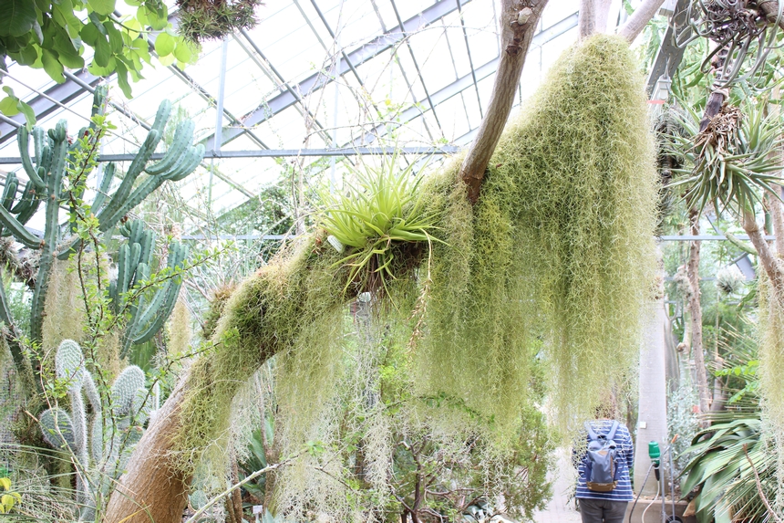 Der Botanische Garten der Ruhr-Universität Bochum