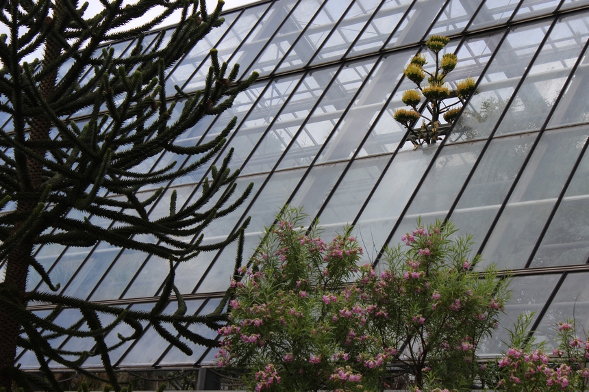 Der Botanische Garten der Ruhr-Universität Bochum