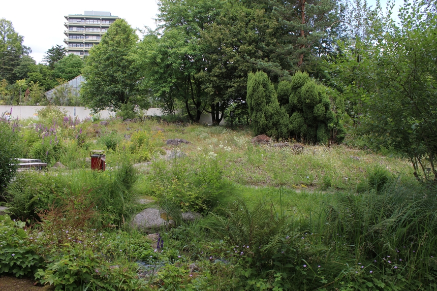 Der Botanische Garten der Ruhr-Universität Bochum