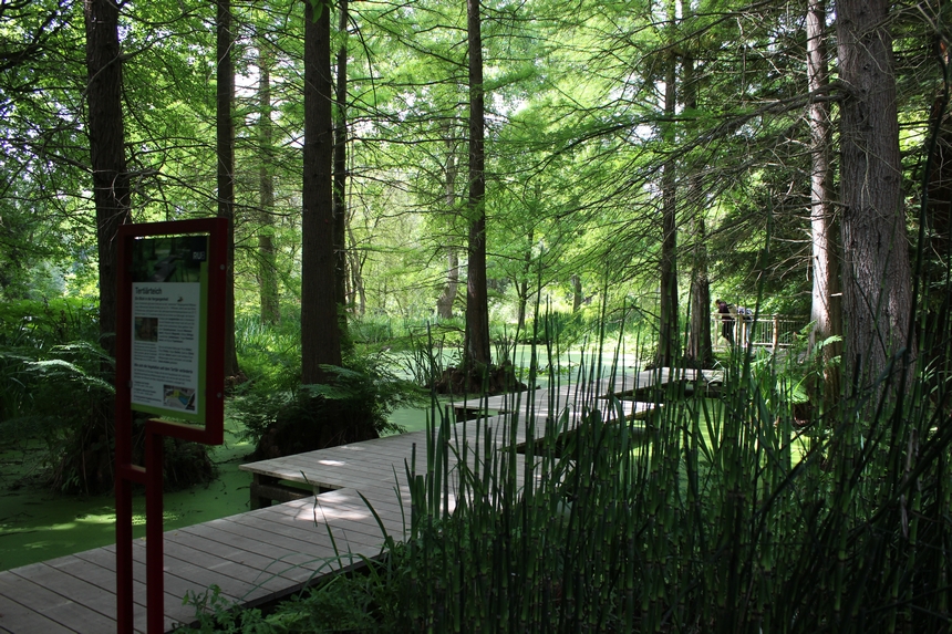 Der Botanische Garten der Ruhr-Universität Bochum