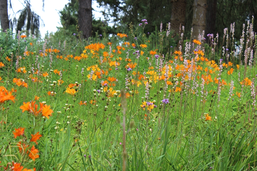 Der Botanische Garten der Ruhr-Universität Bochum