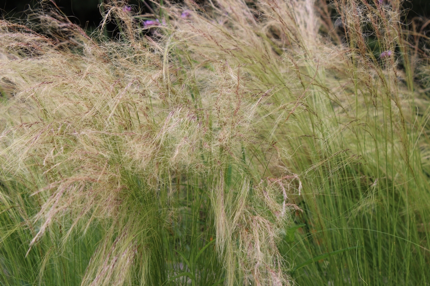 Der Botanische Garten der Ruhr-Universität Bochum