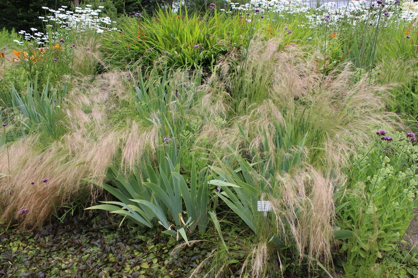 Der Botanische Garten der Ruhr-Universität Bochum