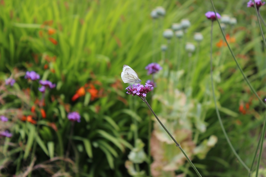 Der Botanische Garten der Ruhr-Universität Bochum