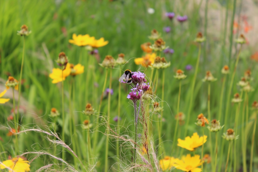 Der Botanische Garten der Ruhr-Universität Bochum