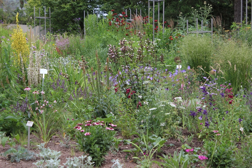 Der Botanische Garten der Ruhr-Universität Bochum