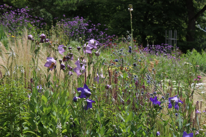 Der Botanische Garten der Ruhr-Universität Bochum