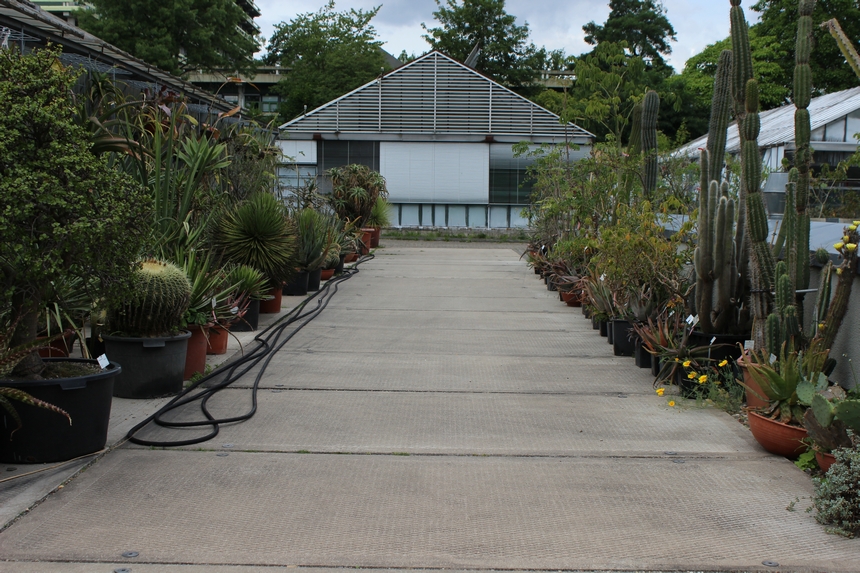 Der Botanische Garten der Ruhr-Universität Bochum