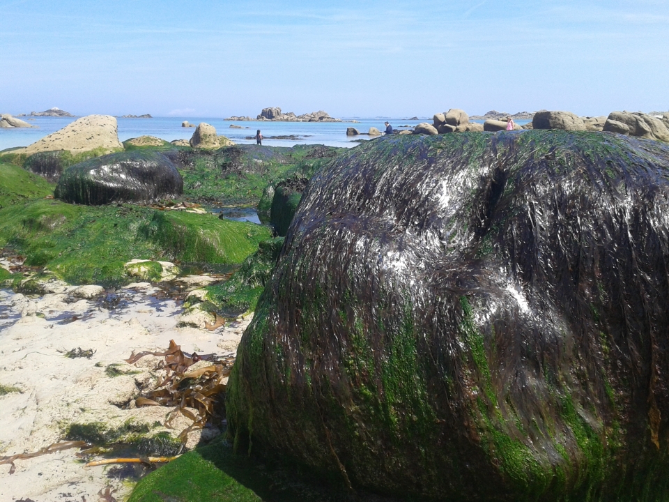 Impressionen - Die Bretagne