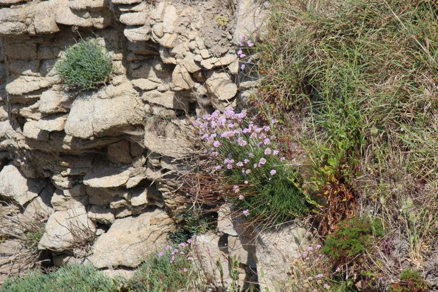 Impressionen - Die Bretagne