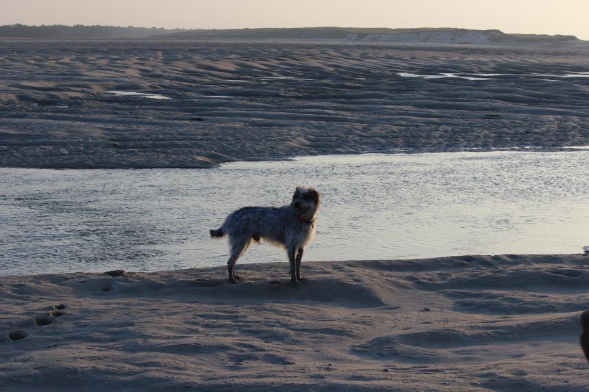 Impressionen - Die Bretagne