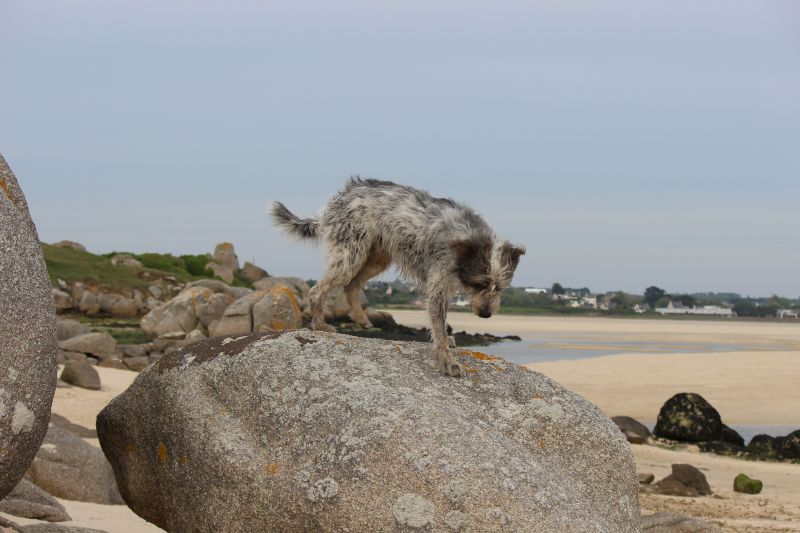 Impressionen - Die Bretagne