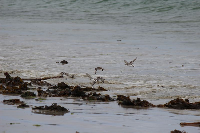 Impressionen - Die Bretagne
