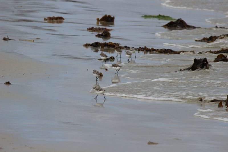 Impressionen - Die Bretagne
