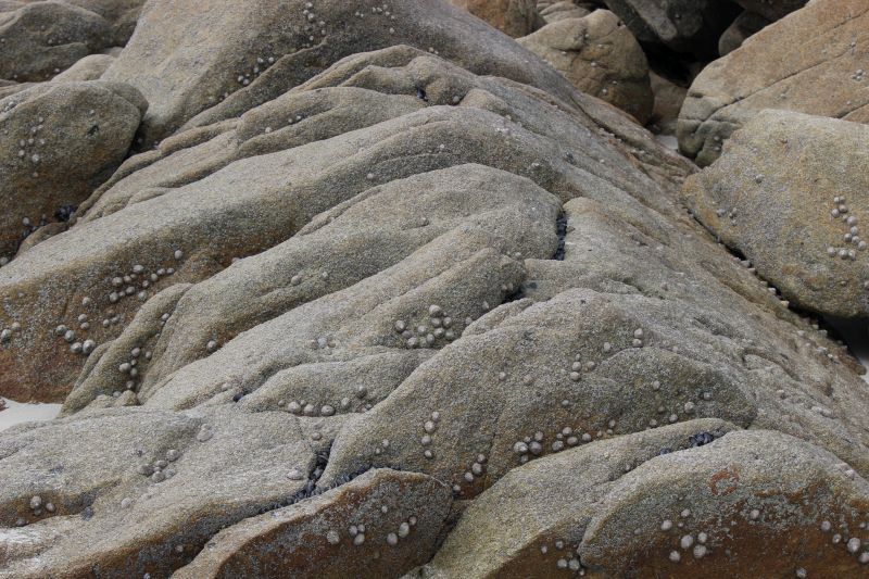 Impressionen - Die Bretagne