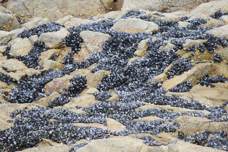 Impressionen - Die Bretagne