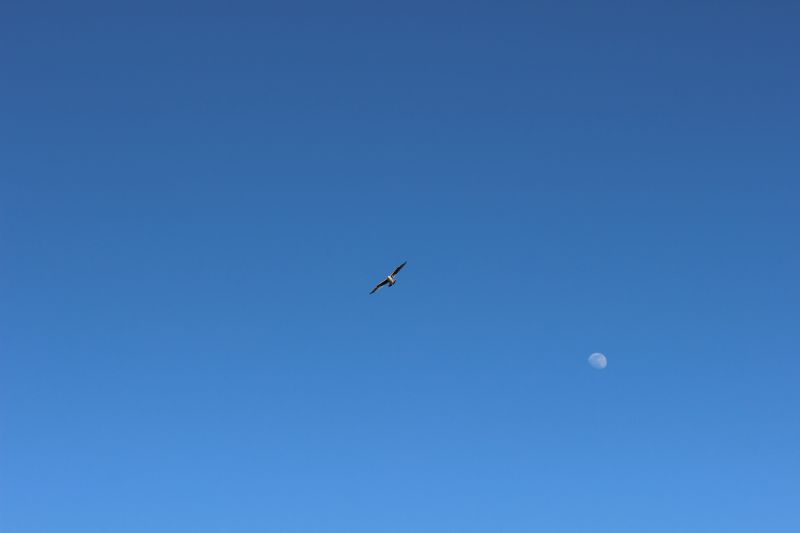 Impressionen - Die Bretagne