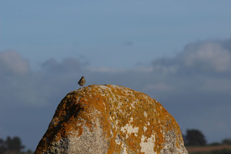 Impressionen - Die Bretagne
