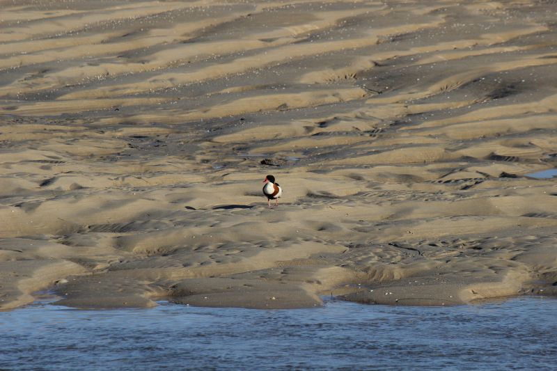 Impressionen - Die Bretagne