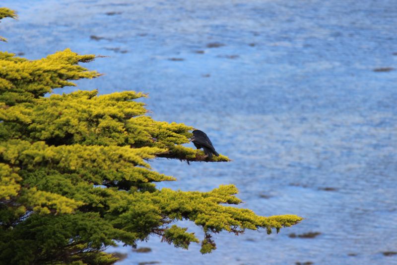 Impressionen - Roscoff