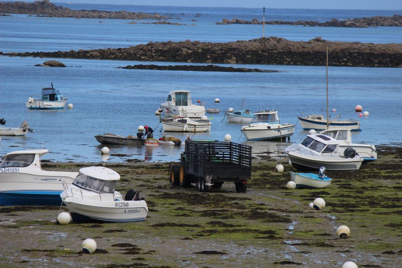 Impressionen - Roscoff