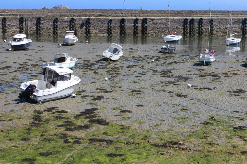Impressionen - Roscoff