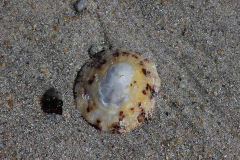 Impressionen - Die Bretagne