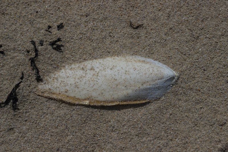 Impressionen - Die Bretagne
