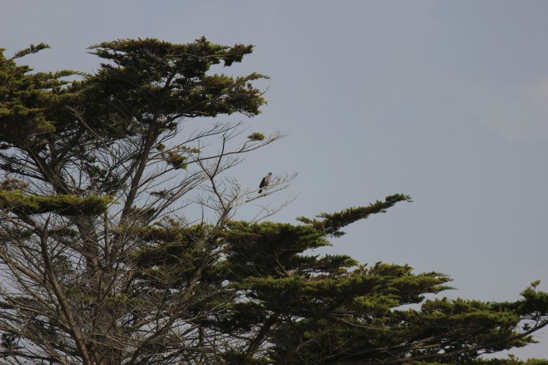 Impressionen - Die Bretagne