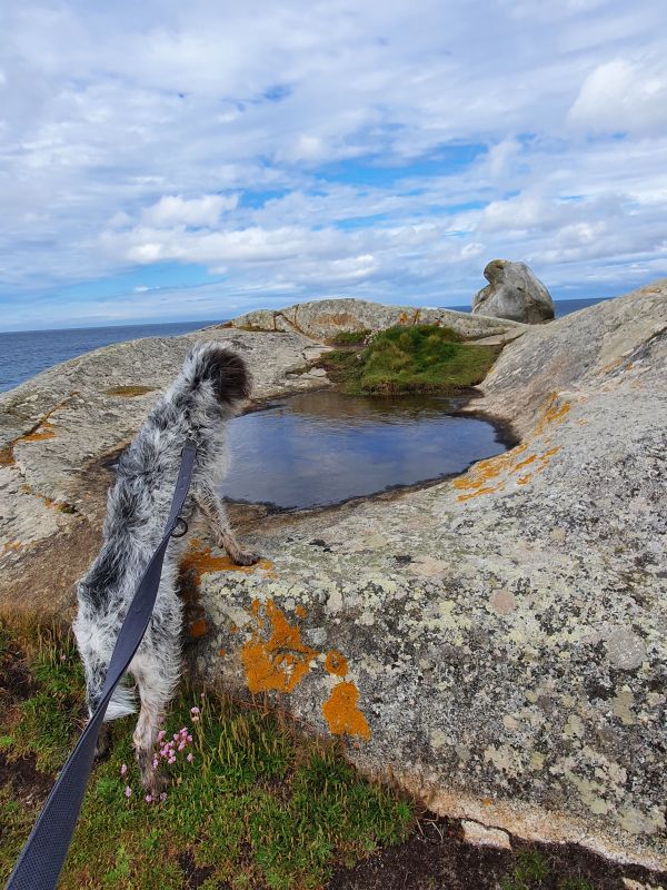 Impressionen - Die Bretagne