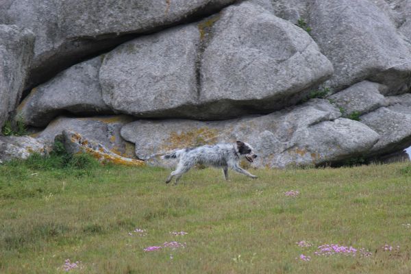 Impressionen - Die Bretagne