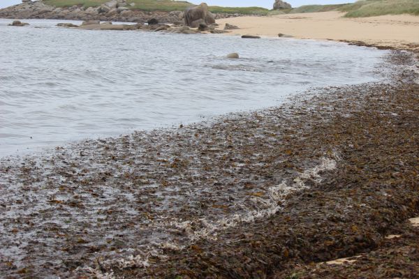 Impressionen - Die Bretagne