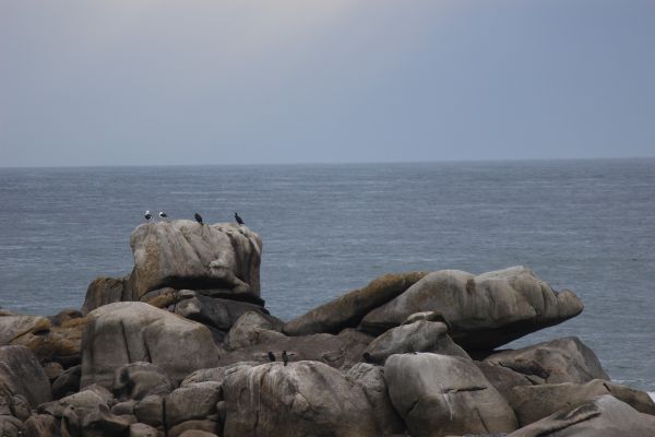 Impressionen - Die Bretagne