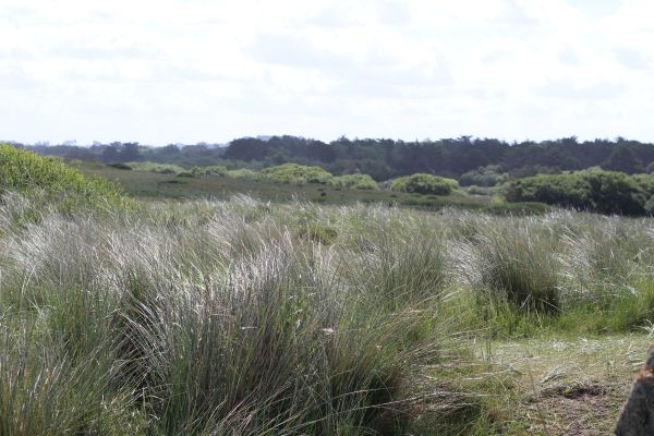 Impressionen - Die Bretagne