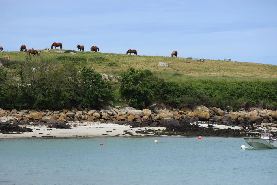 Impressionen - Die Bretagne