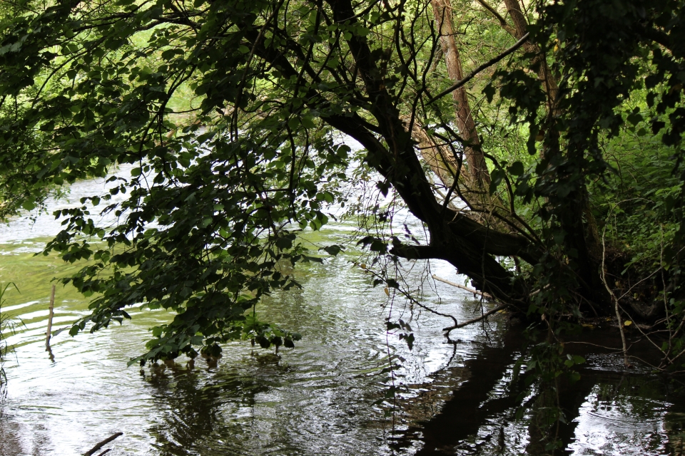 Impressionen - Die Bretagne