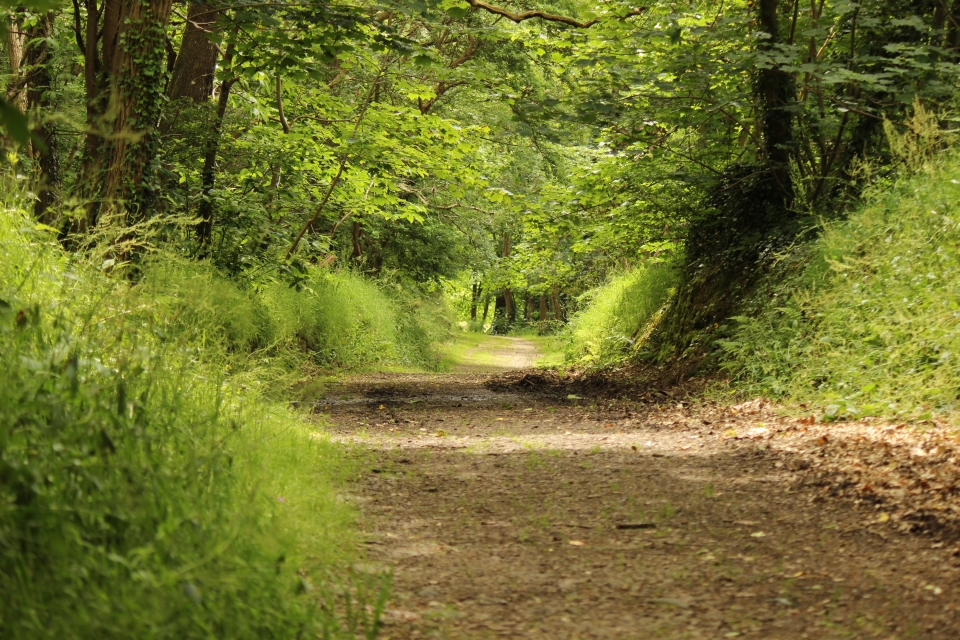 Impressionen - Die Bretagne