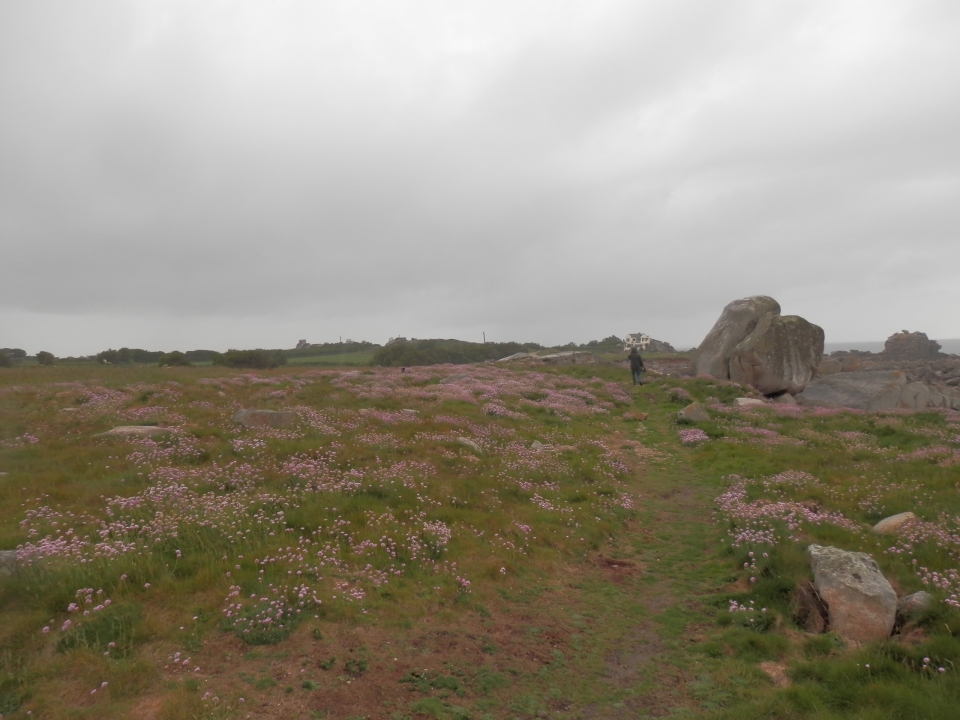 Impressionen - Die Bretagne