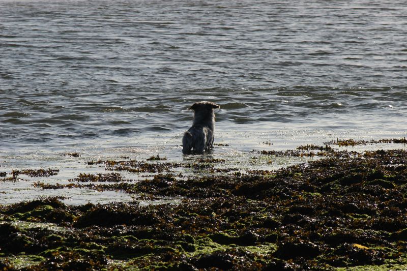 Hannes in der Bretagne