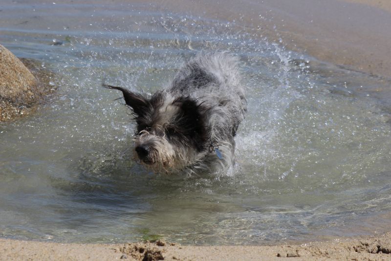 Hannes in der Bretagne