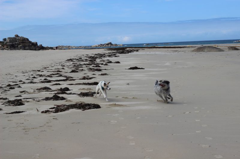 Hannes in der Bretagne
