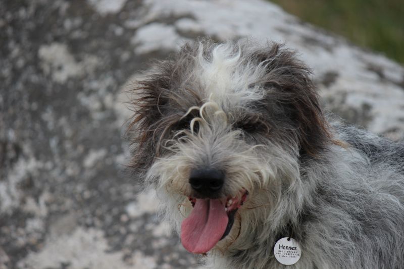 Hannes in der Bretagne